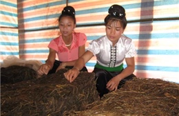 Cần chính sách dạy nghề phù hợp cho đồng bào 